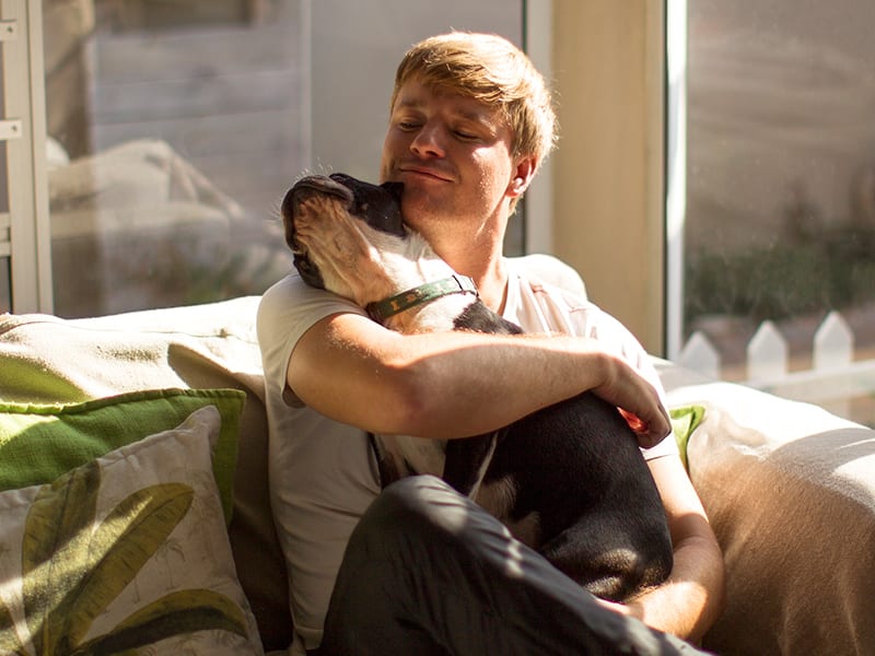 Pets and renting and how it affects me